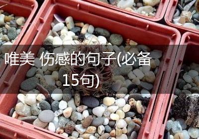 唯美 伤感的句子(必备15句)