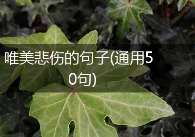唯美悲伤的句子(通用50句)