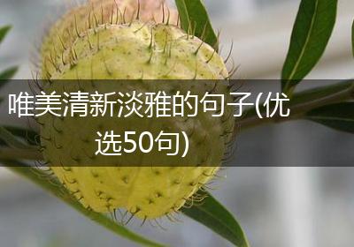 唯美清新淡雅的句子(优选50句)