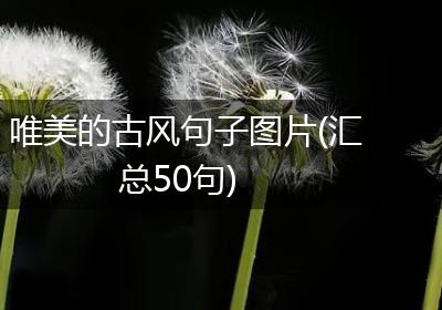 唯美的古风句子图片(汇总50句)