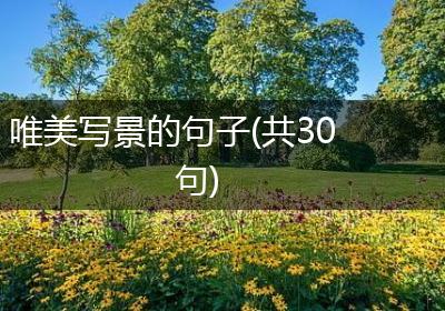 唯美写景的句子(共30句)