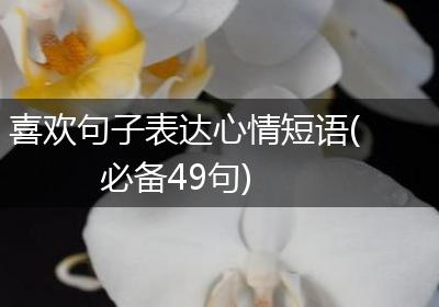 喜欢句子表达心情短语(必备49句)