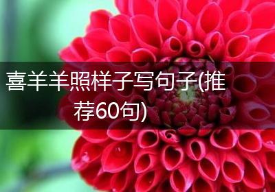 喜羊羊照样子写句子(推荐60句)