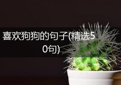 喜欢狗狗的句子(精选50句)