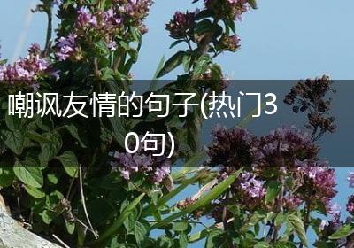 嘲讽友情的句子(热门30句)