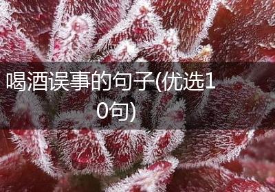 喝酒误事的句子(优选10句)