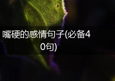 嘴硬的感情句子(必备40句)
