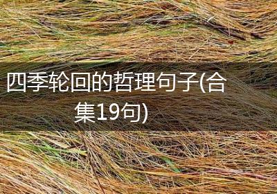 四季轮回的哲理句子(合集19句)