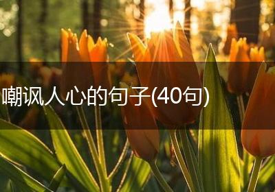 嘲讽人心的句子(40句)