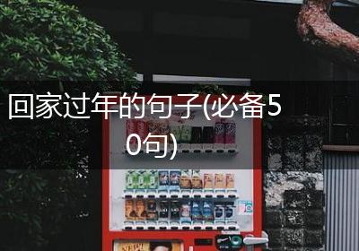 回家过年的句子(必备50句)