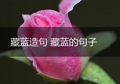 藏蓝造句 藏蓝的句子