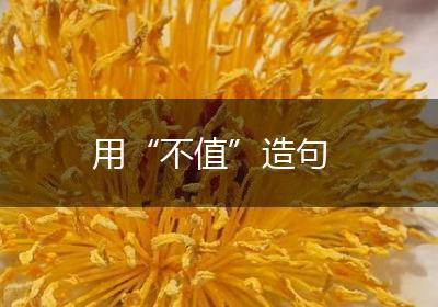 用“不值”造句