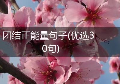 团结正能量句子(优选30句)