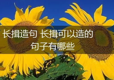 长揖造句 长揖可以造的句子有哪些