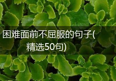 困难面前不屈服的句子(精选50句)