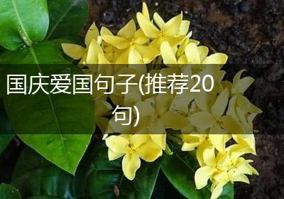 国庆爱国句子(推荐20句)