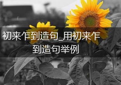 初来乍到造句_用初来乍到造句举例