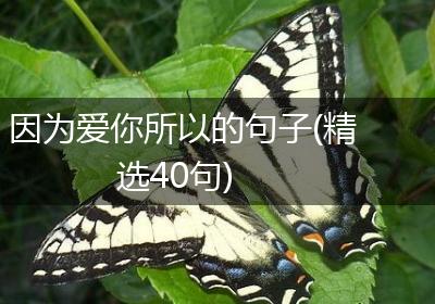 因为爱你所以的句子(精选40句)