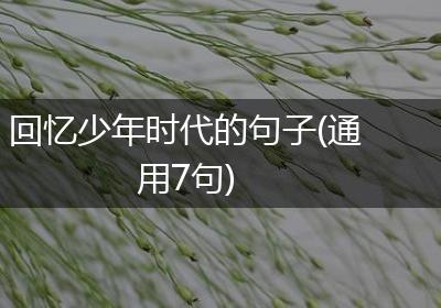 回忆少年时代的句子(通用7句)
