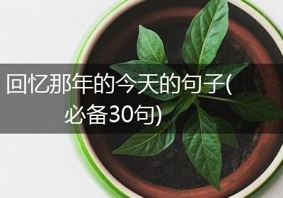 回忆那年的今天的句子(必备30句)