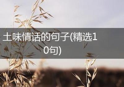 土味情话的句子(精选10句)