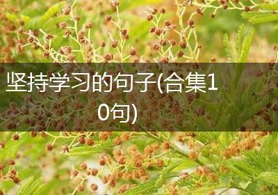 坚持学习的句子(合集10句)