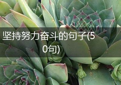 坚持努力奋斗的句子(50句)