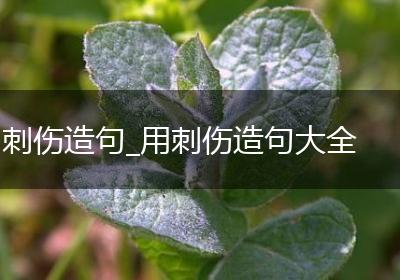 刺伤造句_用刺伤造句大全