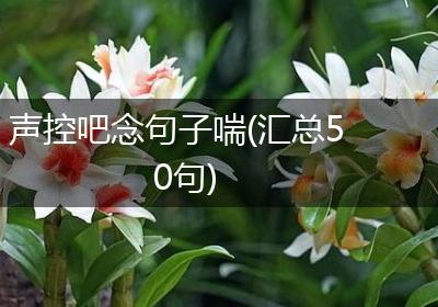 声控吧念句子喘(汇总50句)