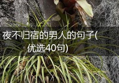 夜不归宿的男人的句子(优选40句)