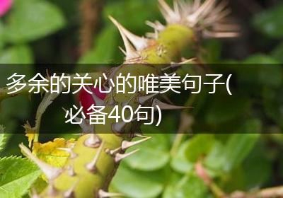 多余的关心的唯美句子(必备40句)