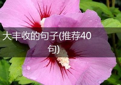 大丰收的句子(推荐40句)