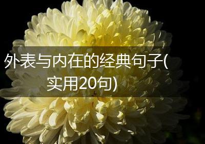 外表与内在的经典句子(实用20句)