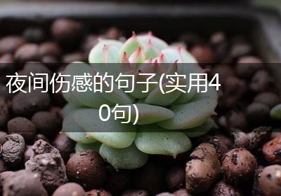 夜间伤感的句子(实用40句)
