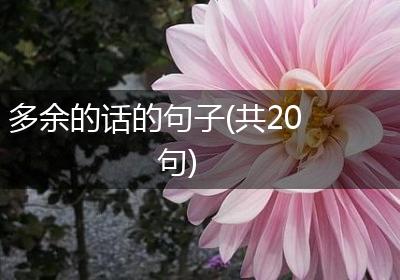 多余的话的句子(共20句)