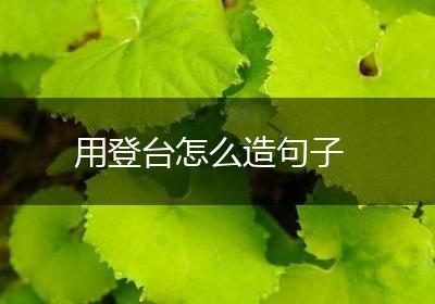 用登台怎么造句子