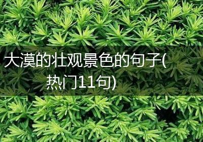 大漠的壮观景色的句子(热门11句)