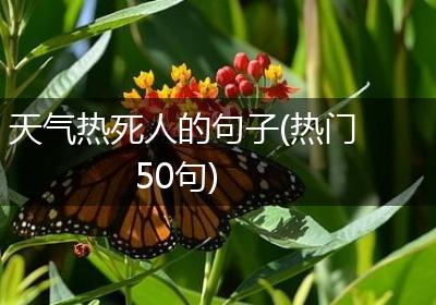 天气热死人的句子(热门50句)