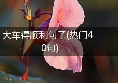 大车得顺利句子(热门40句)
