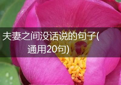 夫妻之间没话说的句子(通用20句)