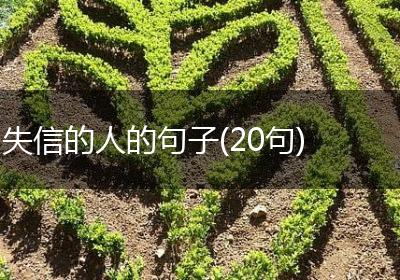 失信的人的句子(20句)
