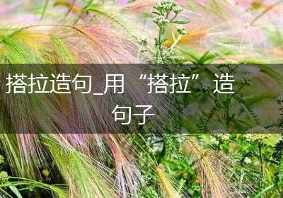 搭拉造句_用“搭拉”造句子