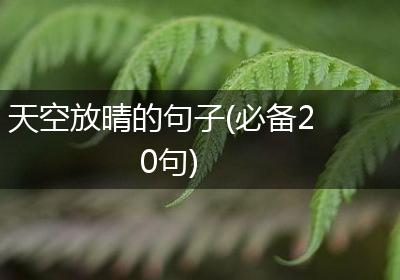 天空放晴的句子(必备20句)