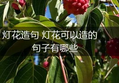 灯花造句 灯花可以造的句子有哪些