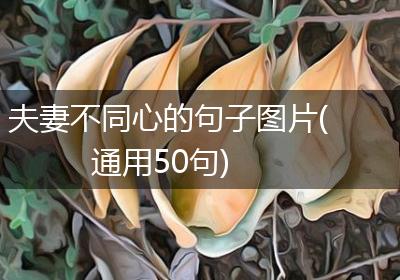 夫妻不同心的句子图片(通用50句)