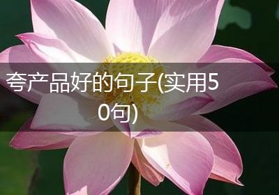 夸产品好的句子(实用50句)