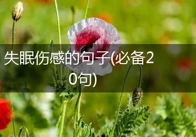 失眠伤感的句子(必备20句)