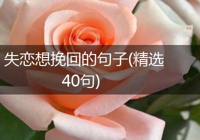 失恋想挽回的句子(精选40句)