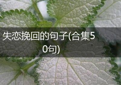 失恋挽回的句子(合集50句)