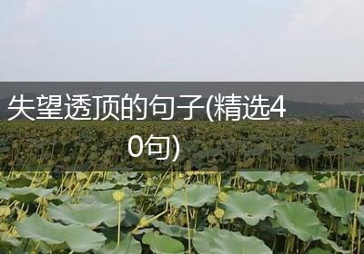 失望透顶的句子(精选40句)